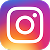 Instagram Colored Icon Trifid